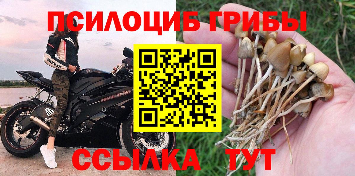 Галлюциногенные грибы ЛСД  Вход с VPN  Приморско-Ахтарск 