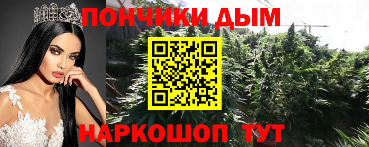 Бошки Шишки LSD WEED Приморско-Ахтарск